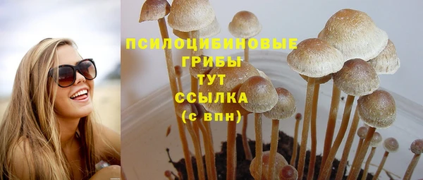 марки lsd Богородицк