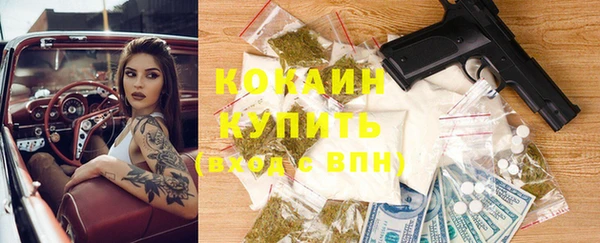 мдпв Богородск
