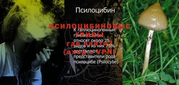 мдпв Богородск