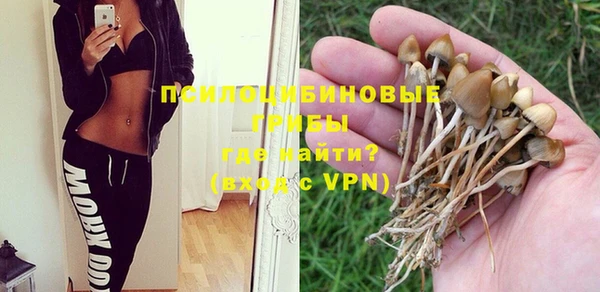 мдпв Богородск