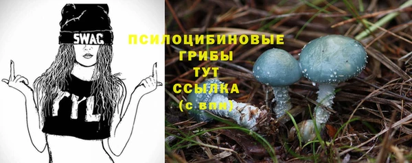 марки nbome Богданович