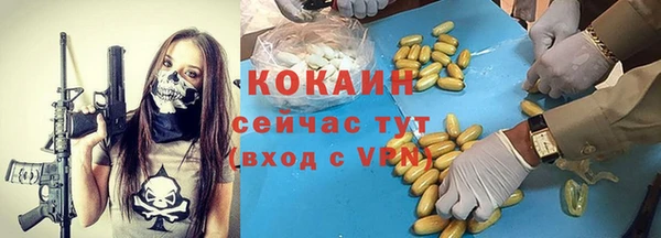мдпв Богородск