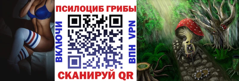 Купить  Ступино  Галлюциногенные грибы GOLDEN TEACHER 